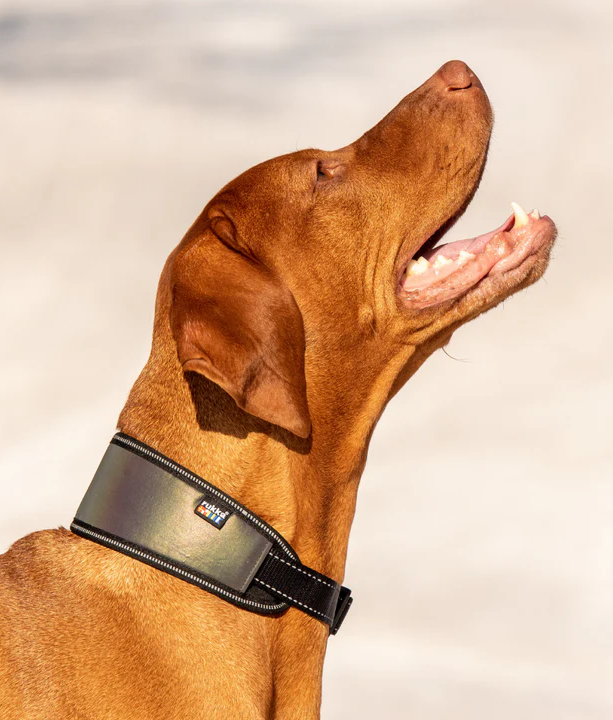 Rukka honden halsband