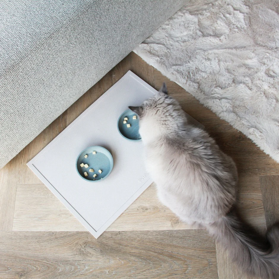 District 70 placemat SERVE