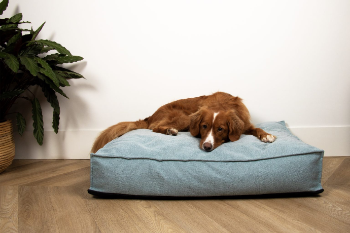 Eden Dog Matress