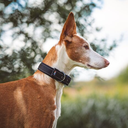 rukka-rukka-form-softd-collar.webp