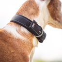 rukka-rukka-formd-soft-collar.webp