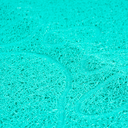 IMG_4885.webp