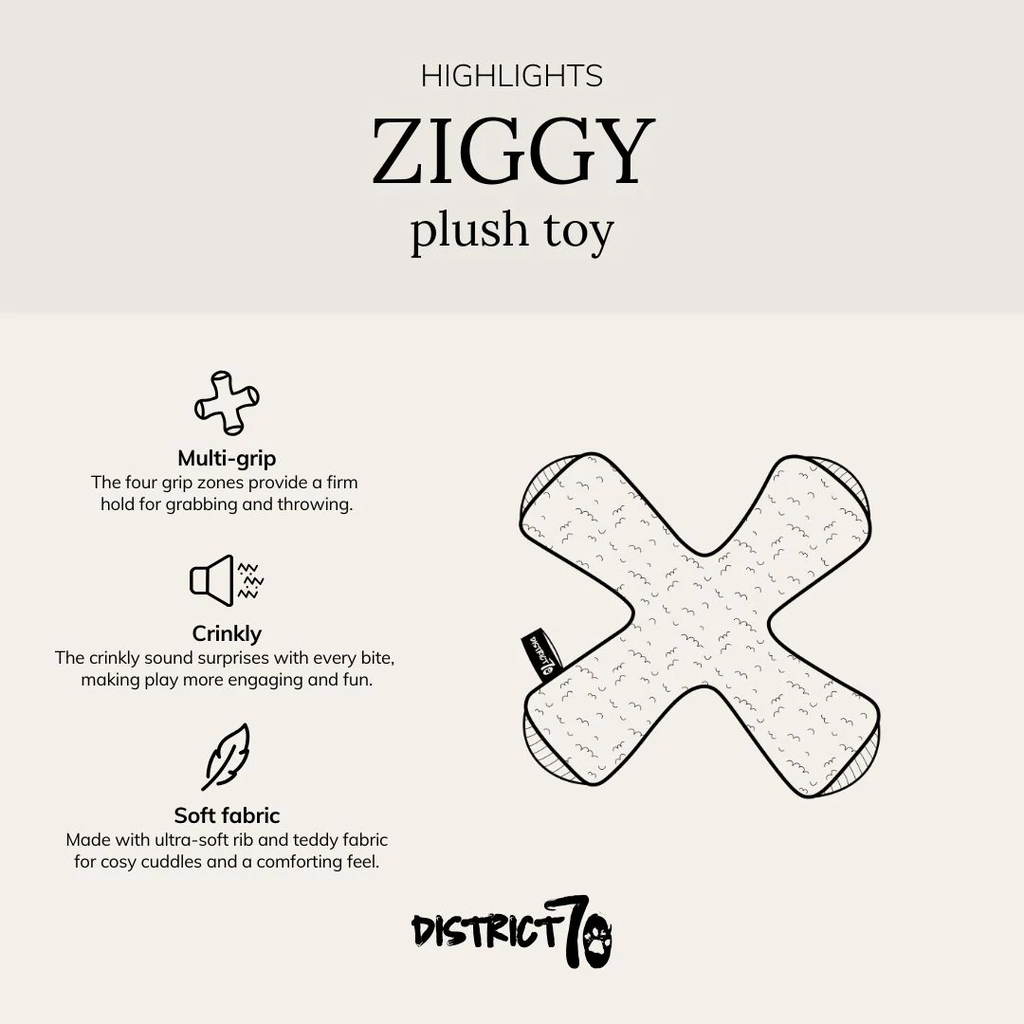 D70_Infographic_ZIGGY_1x1_EN.jpg.webp