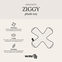 D70_Infographic_ZIGGY_1x1_EN.jpg.webp