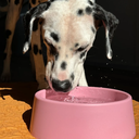 file_e9fc35f3-8050-48d3-90bd-a9beeeec6382.jpg.webp