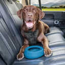 file_5617d667-0b9d-4df4-b09b-6fac311eb5be.webp.webp