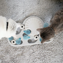 file_1b2a3d14-5c0e-4c2f-ac47-22bbafef50cc.png.webp