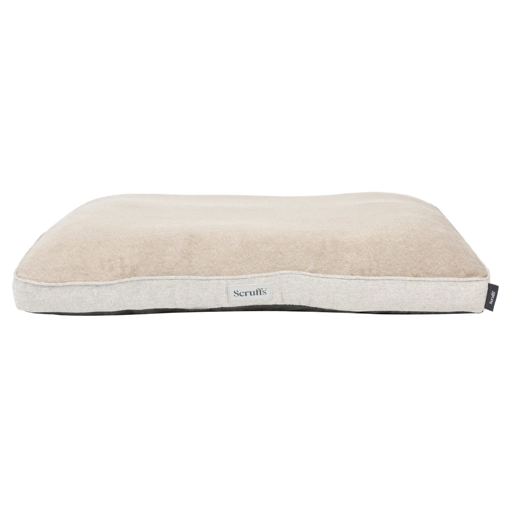 file_5fc950eb-3ba9-4020-8334-d096b6bc4ce0.png.webp