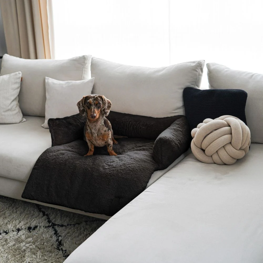 file_48fb1e98-60a0-43ff-bbee-ed3d229cabd4.jpg.webp