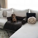 file_48fb1e98-60a0-43ff-bbee-ed3d229cabd4.jpg.webp