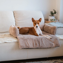 file_c8a21b28-794a-4d4f-bcbb-791d7e18de3d.jpg.webp