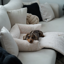 file_65b121cc-81c7-4992-baae-d99c6c3f7ba1.jpg.webp