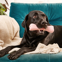 3Beco_Natural-Rubber_lifestyle.jpg.webp