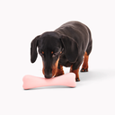 file_5bd68484-013f-4ad3-81c5-98fa845ae8ee.png.webp