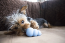 file_22d9d3bd-f9f4-4a5c-bcda-c258e5aecfed.jpg.webp