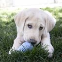 file_25f3d013-fa91-47e7-a87a-1810adff18f6.jpg.webp