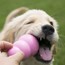 file_75ee8100-496f-4817-8028-f74c8ef2aed9.jpg.webp