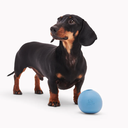 file_f14ac026-1851-4e03-bade-df9eba80e38f.png.webp