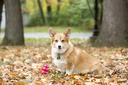 file_6a75edb5-ef2e-4b86-acea-b88d9a09bd33.jpg.webp