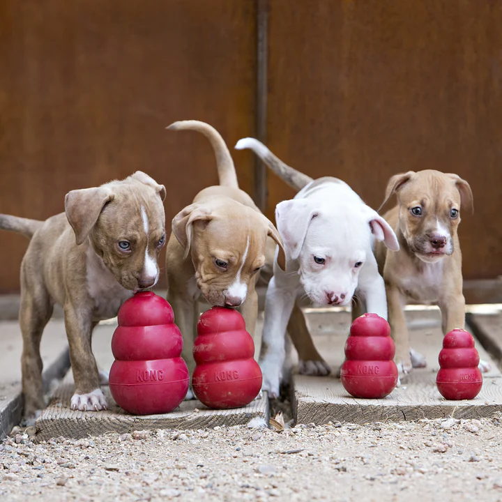 file_2a590174-f73c-47d5-ad0c-8980c2b88de5.jpg.webp