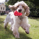 file_c5795adf-682e-4cde-8f0b-588df2bfa480.jpg.webp