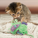 0035585459318_sc1_webl.webp