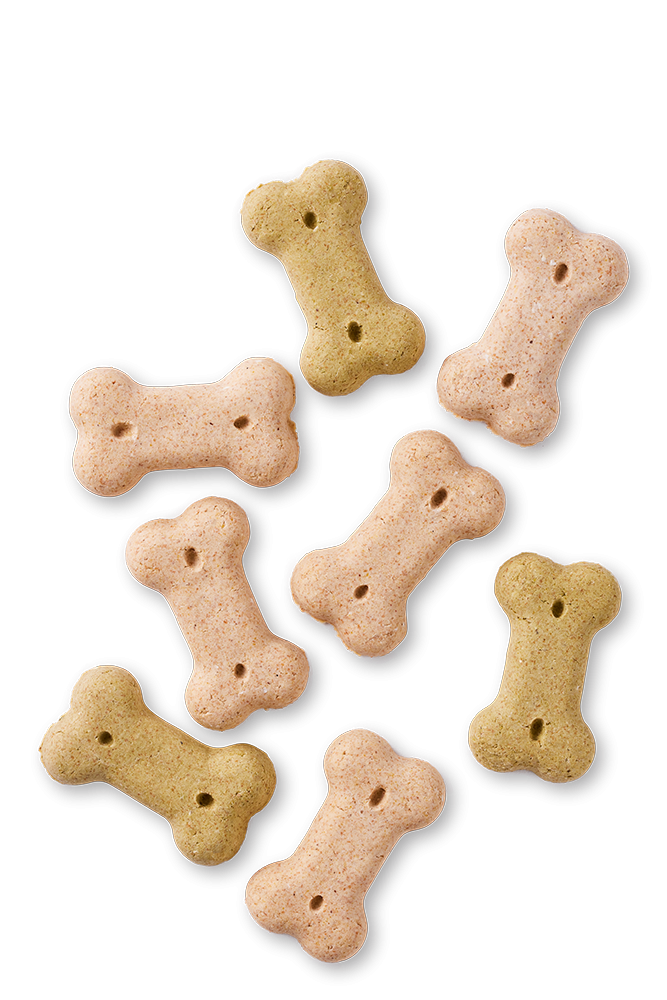 1648470306-7174S-DOG - Yarrah Vega Biscuits small - Top shot_1920x1920.webp