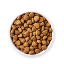 1648470306-17165-DOG - Yarrah Vega - Top shot_1920x1920.webp