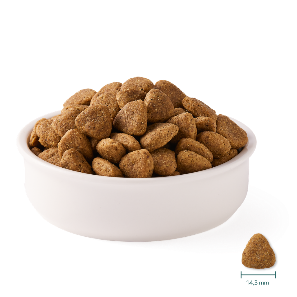 DOG - Yarrah Vega Grain-Free - Side shot and size_1920x1920.webp