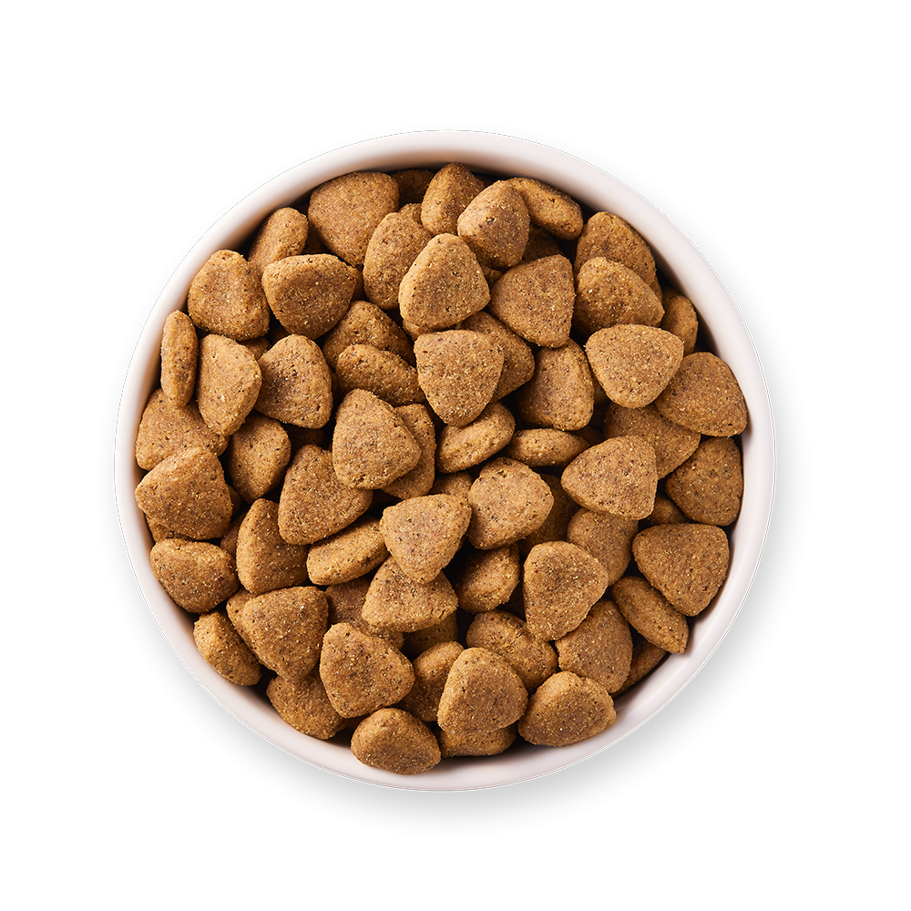 1648470306-17160-DOG - Yarrah Vega Grain-Free - Top shot_1920x1920.webp