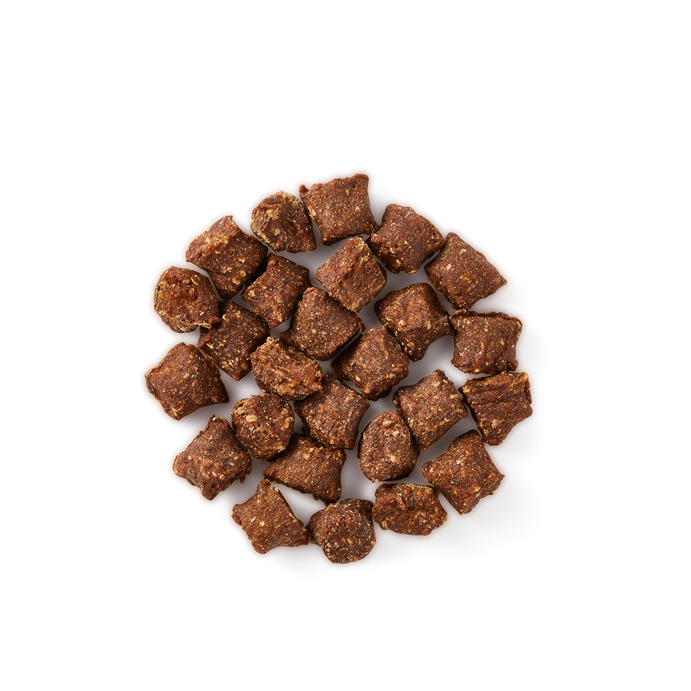 1648470306-7251-CAT - Yarrah Mini Snack - Top shot_1920x1920.webp