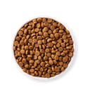 1648470306-17147-DOG - Yarrah Puppy - Top shot_1920x1920.webp