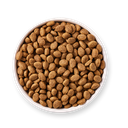 1648470306-17062-DOG - Yarrah Senior - Top shot_1920x1920.webp