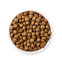 1648470306-17068-DOG - Yarrah Sensitive - Top shot_1920x1920.webp