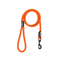 Basicleash_orange.jpg.webp