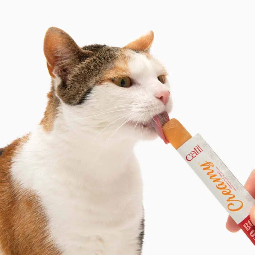 catit-creamy-popstickle.jpg.webp