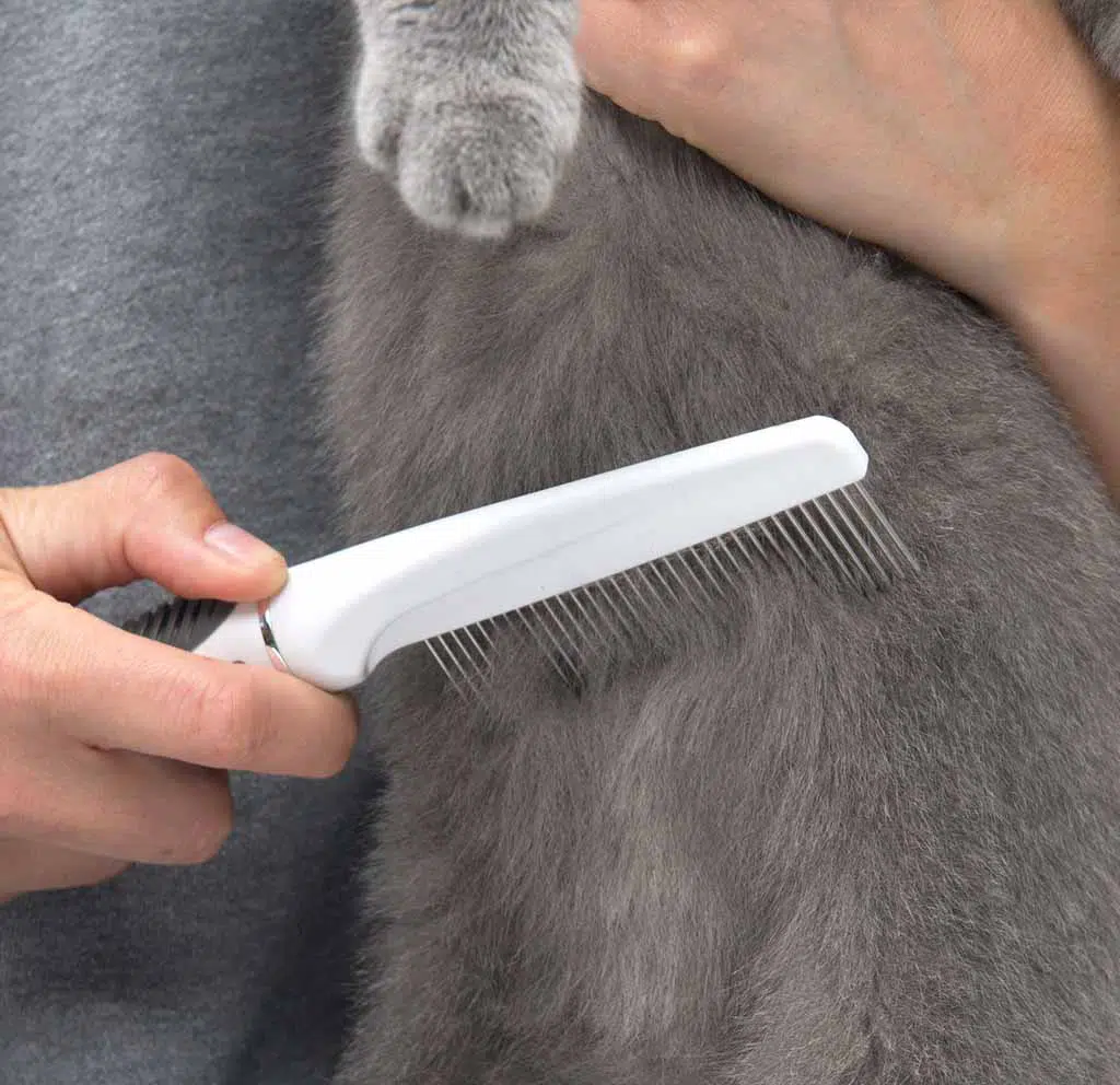 Catit-Shorthair-grooming-kit-comb-cat.jpg.webp