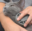 Catit-Shorthair-grooming-kit-rubber-palm-brush-cat.jpg.webp