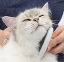 catit-longhair-grooming-kit-metalslicker-cat.jpg.webp