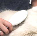 catit-longhair-grooming-kit-pinbrush-cat.jpg.webp