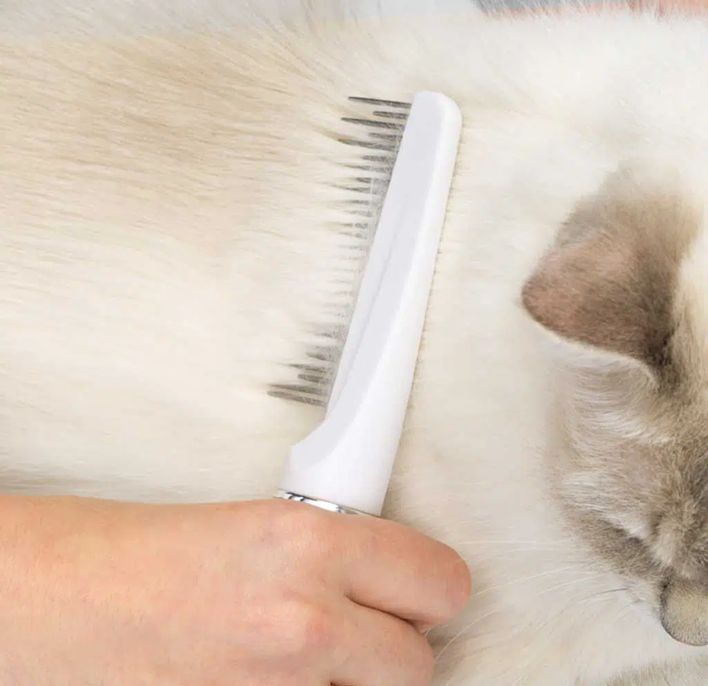catit-longhair-grooming-kit-comb-cat.jpg.webp