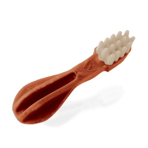 Toothbrush-Red-B-2-500x500-c-center.webp