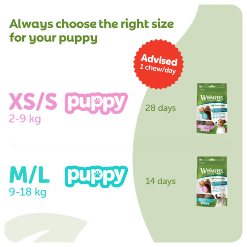 whimzees_e_com_panels_puppy_4-500x500-c-center.webp