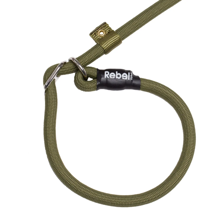RebelPetz_trainingleash_green_detail.jpg.webp