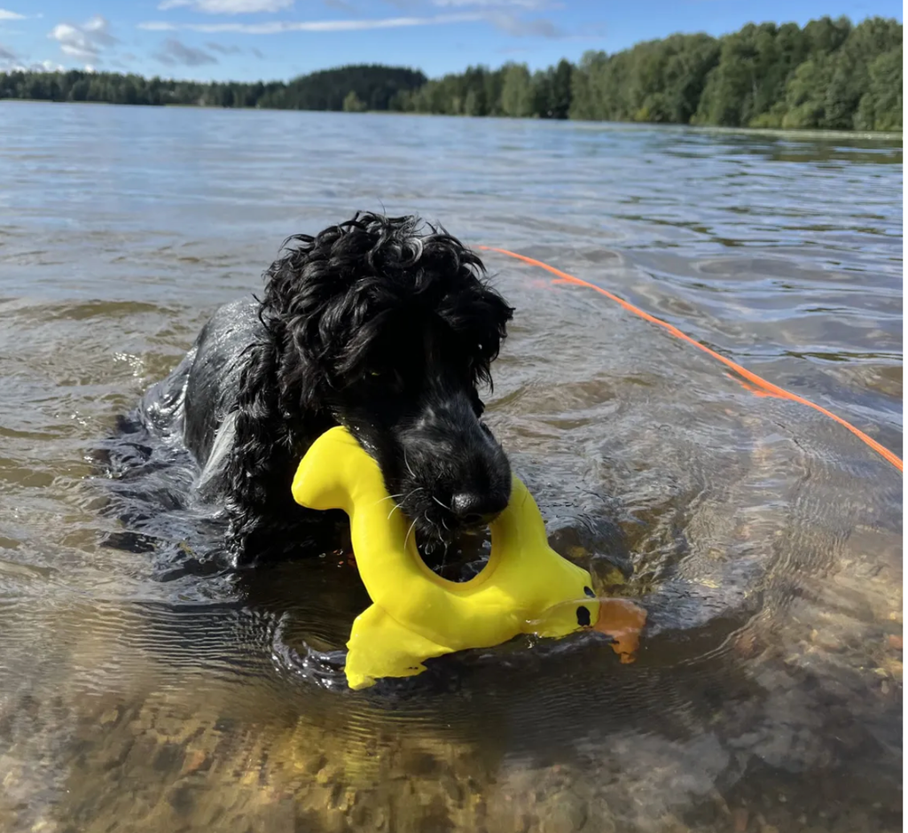 Scherm­afbeelding 2026-03-11 om 14.01.47.webp