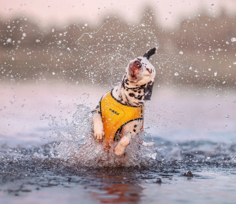 Scherm­afbeelding 2026-03-11 om 14.20.09.webp