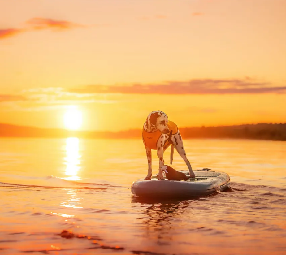 Scherm­afbeelding 2026-03-11 om 14.21.05.webp