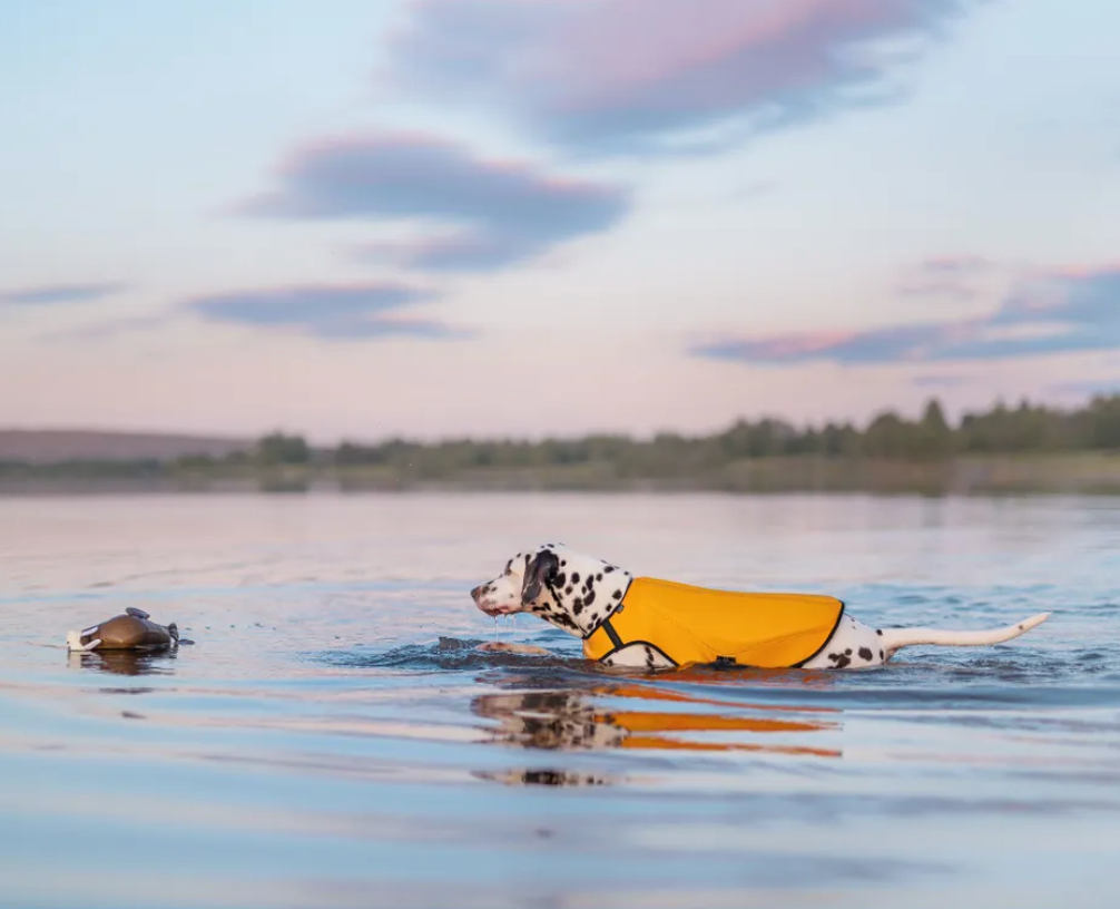 Scherm­afbeelding 2026-03-11 om 14.20.45.webp