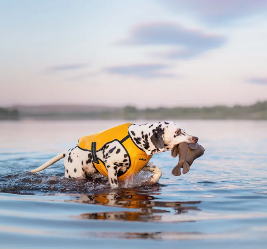 Scherm­afbeelding 2026-03-11 om 14.20.33.webp