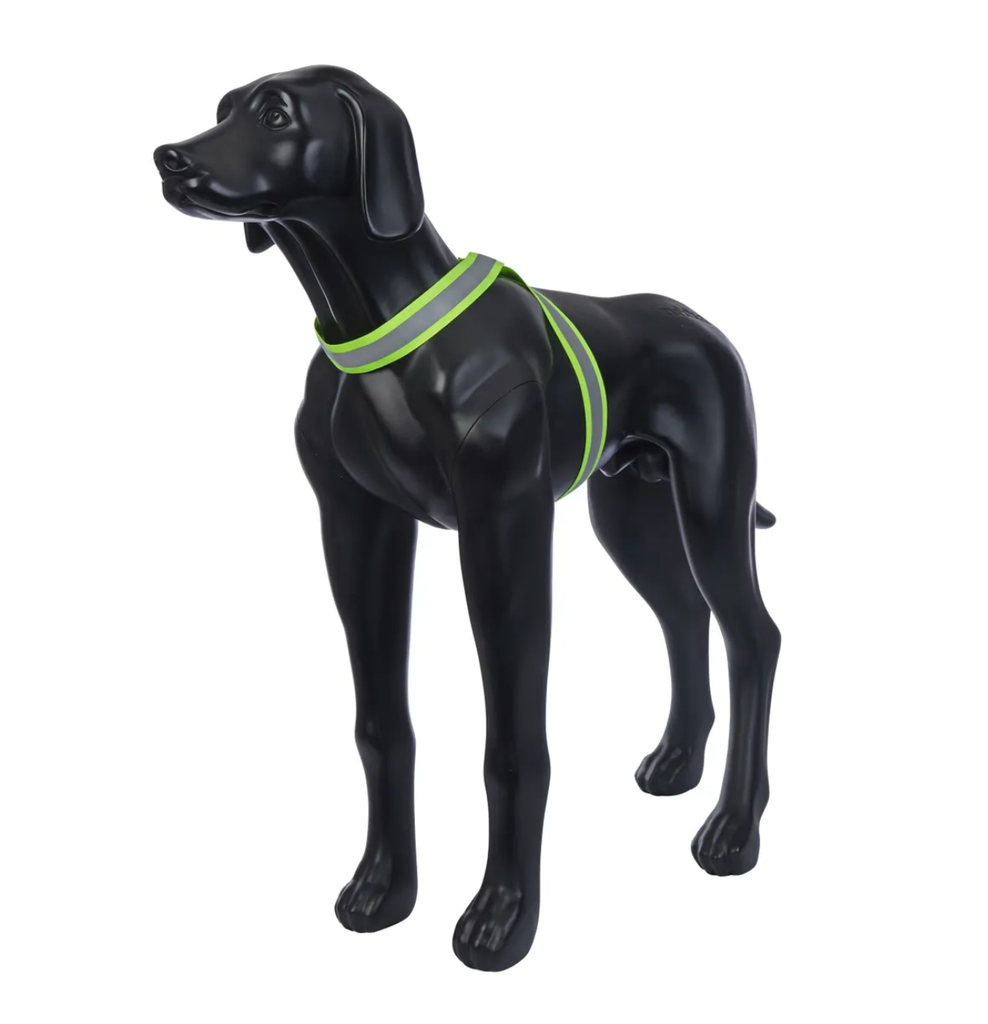 Scherm­afbeelding 2026-03-11 om 15.11.45.webp